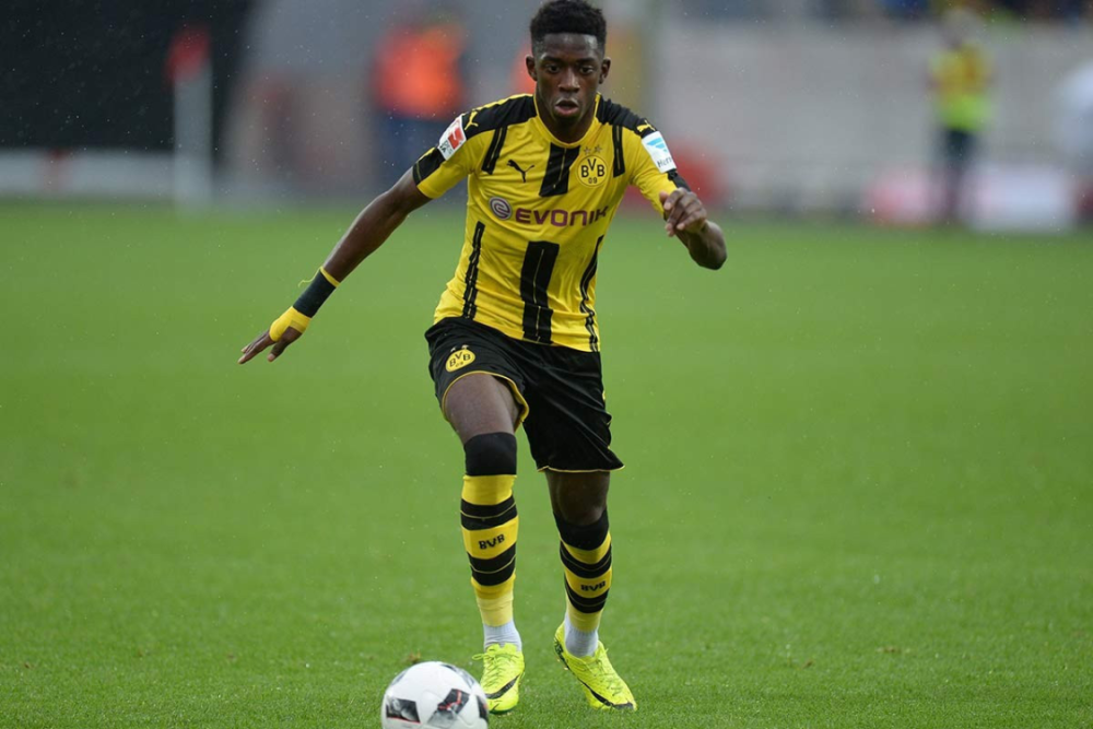 公众反应 公众反应